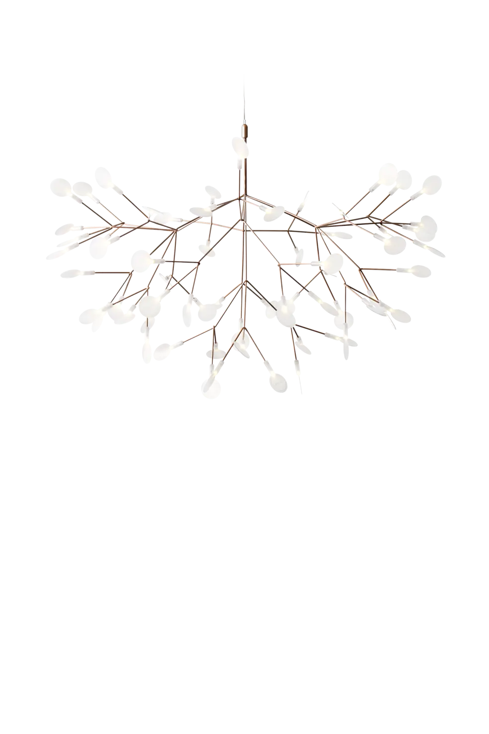 Front view Heracleum Suspended Copper